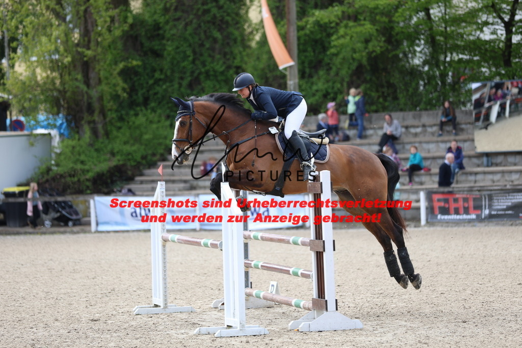 A40A2184 | lmwpictures - Realisiert mit Pictrs.com