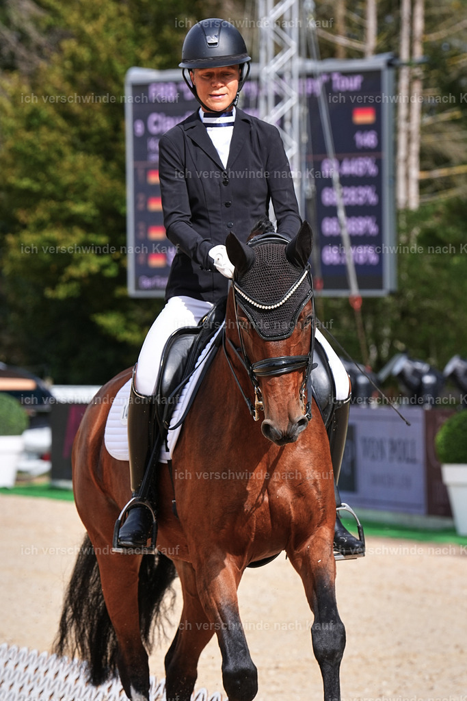 05-146-DRESSUR M_  -Marixx-4986 | working equitationturnier fotograf videograf stoibphotography marixx film working equitation deutschland reitsport turnierfotografie eventfotografie equestrian events