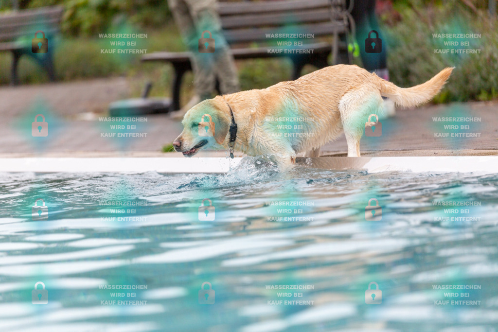 _HP_7151_1000o | HetPix, HetPix Fotodesign, Fotografie, Fotodesign, Webshop, Sportfotografie, Portraitfotografie, Onlineshop, Sportfotografie, Polch, Motorsportfotografie, Eventfotografie