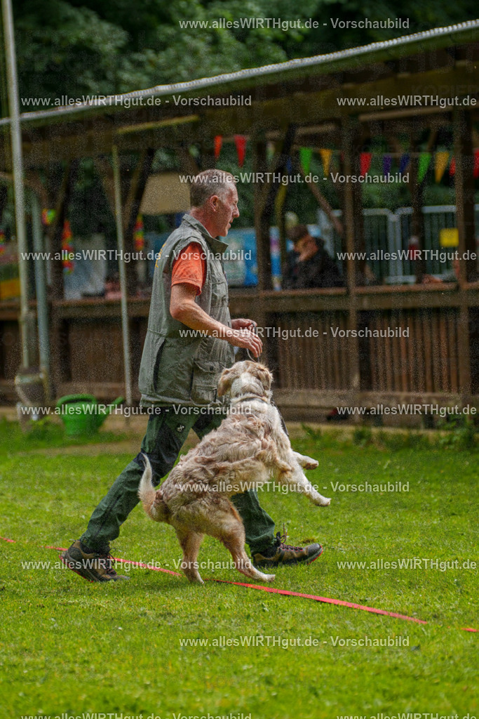 @allesWIRTHgut_Tierfotografie - www.allesWIRTHgut.de - 7R502940 | Professionelle Tierfotografie in Mönchengladbach von Daniel Wirth (allesWIRTHgut). Liebevolle & natürliche Bilder von Hunden & Katzen für unvergessliche Erinnerungen.
