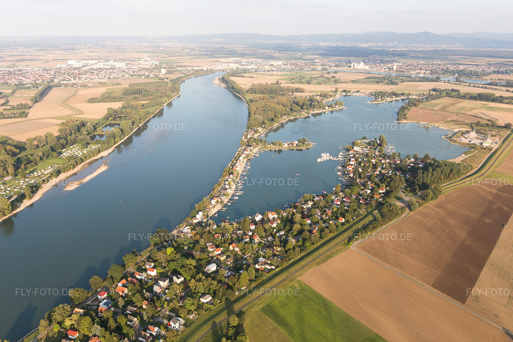 Luftbild: Wochenendhausgebiet und Uferbereiche Eicher See am Rhein im Ortsteil Eicher See in Eich im Bundesland Rheinland-Pfalz in Deutschland. – Foto: IMG_094660.jpg vom 21.09.2016 durch Werner Riehm/FLY-FOTO.de – Auflösung des Originals: 5233 x 3489 px