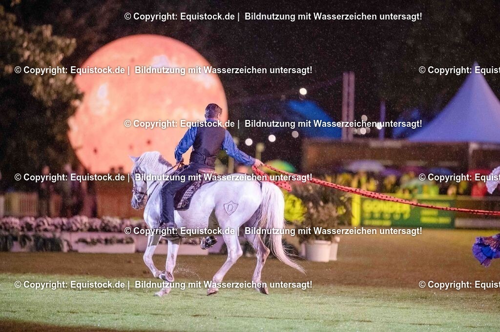 20250606_Lange-Pferdenacht_1215 | Foto: Thomas Hartig