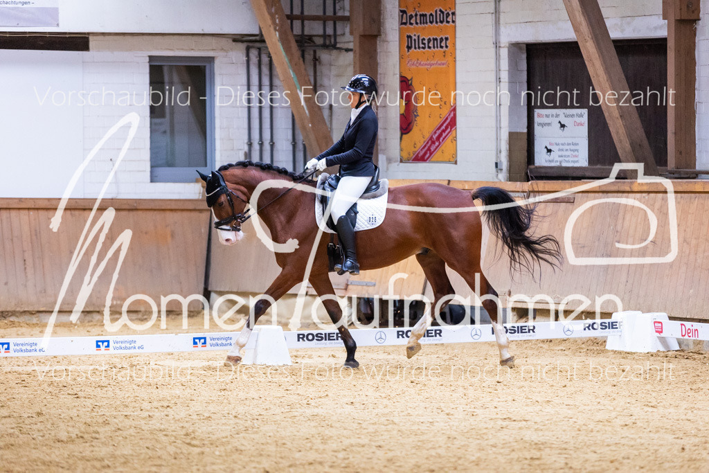 Sth-A-Dre-2St-054 | MomenTaufnahmen Pferdesportfotos