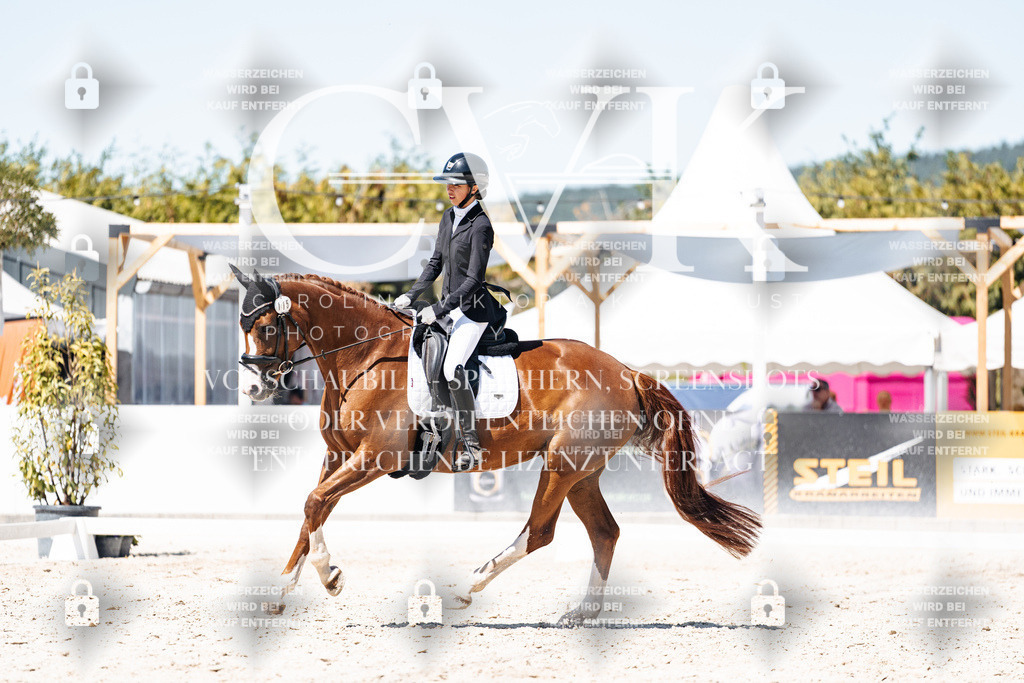 CK900504 | Turnierfotografie Pferdefotografie Trier Rheinland-Pfalz Pferdesport Reitsport Tierfotografie Sportfotografie Pferdevideo Pferdevideografie Equestrianvideography equestrianphotography  - Realisiert mit Pictrs.com