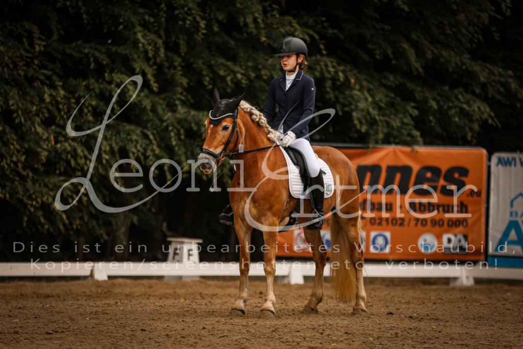 DoDrE00338 | Leoni Ertmer Photography - Realisiert mit Pictrs.com