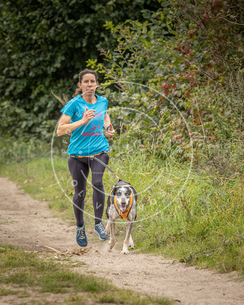 Pfotenfotografie_DV3A7831 | Hundefotografie, Tierfotograf, Pfotenfotografie, Fotoshooting Hund, Hunde Portrait, Hundesport, Hundeportraits, Heideshooting, Hunde, Sportfotograf, Hundefotograf, Turnierhundsport, THS,  - Realisiert mit Pictrs.com