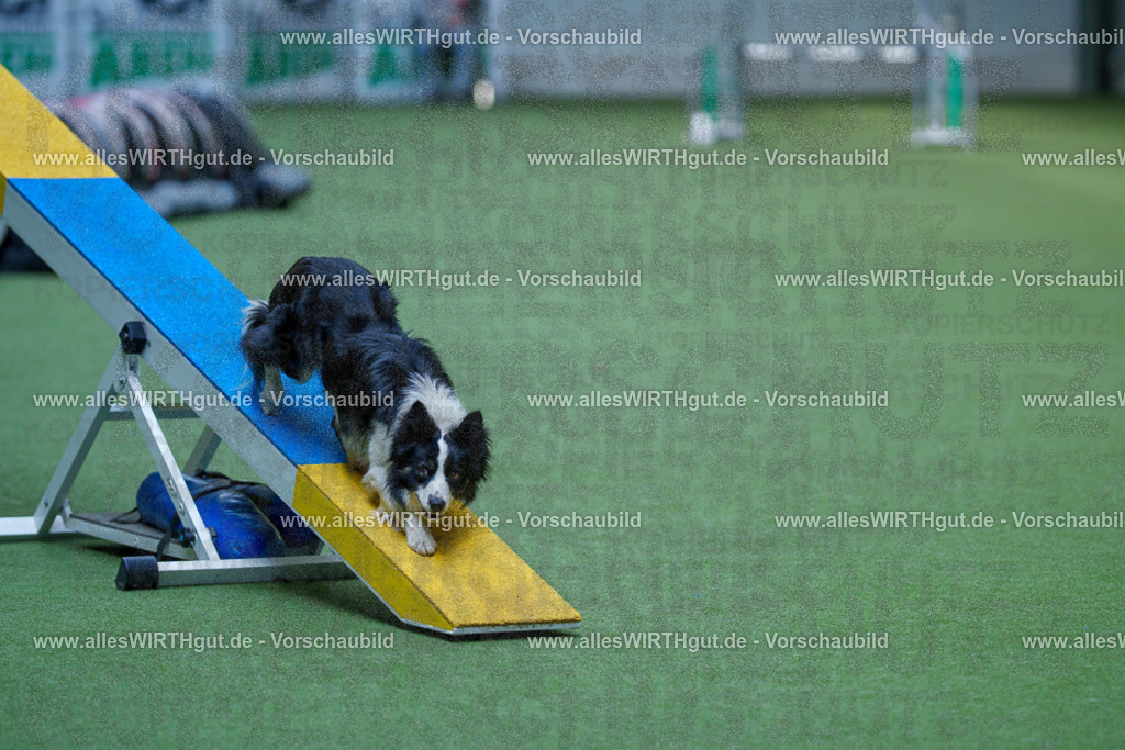 @allesWIRTHgut_Tierfotografie - www.allesWIRTHgut.de - 2604251341-7R503824 | Professionelle Tierfotografie in Mönchengladbach von Daniel Wirth (allesWIRTHgut). Liebevolle & natürliche Bilder von Hunden & Katzen für unvergessliche Erinnerungen.