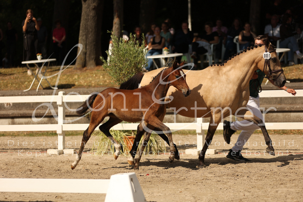 08.DoRPS00009 | Leoni Ertmer Photography - Realisiert mit Pictrs.com