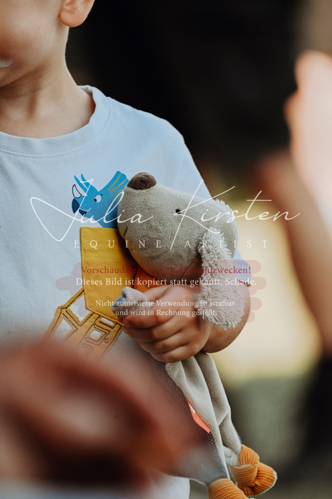 DSC_8837 | Pferde- und Turnierfotografie in Westsachsen. Pferdeportraits, Auftragszeichnungen und intuitive Kunst.