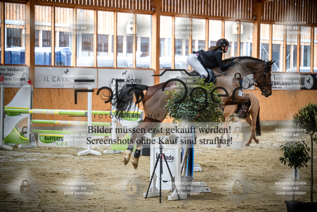 DOS_0720 | Entdecke hochwertige Reitturnierfotos von Foto Oger. Professionell, emotional und authentisch – jetzt Lieblingsmomente im Shop bestellen.Deutschlandweite Turnierfotografie. - Realisiert mit Pictrs.com