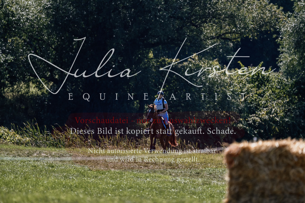 DSC_1659 | Pferde- und Turnierfotografie in Westsachsen. Pferdeportraits, Auftragszeichnungen und intuitive Kunst.