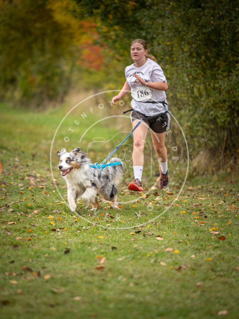 Pfotenfotografie_DV3A3673 | Hundefotografie, Tierfotograf, Pfotenfotografie, Fotoshooting Hund, Hunde Portrait, Hundesport, Hundeportraits, Heideshooting, Hunde, Sportfotograf, Hundefotograf, Turnierhundsport, THS,  - Realisiert mit Pictrs.com