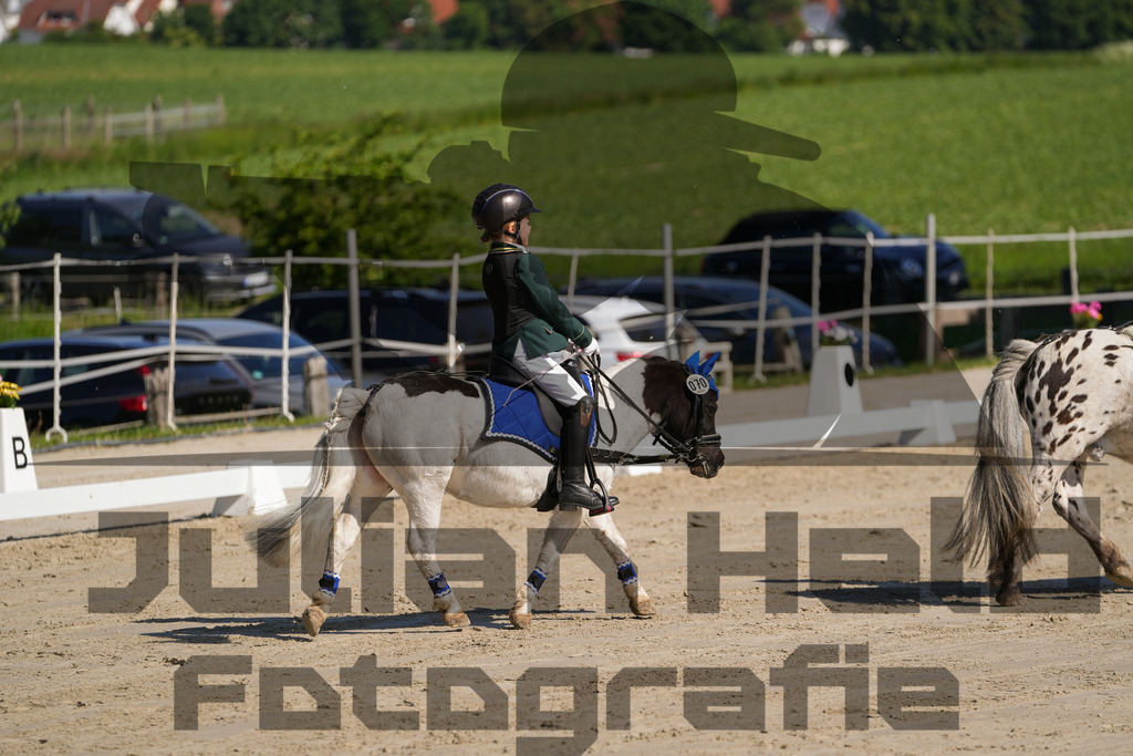 DSC02992 | Julian Held Fotografie - Realisiert mit Pictrs.com