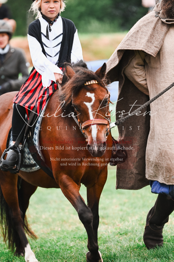 DSC_7399 | Pferde- und Turnierfotografie in Westsachsen. Pferdeportraits, Auftragszeichnungen und intuitive Kunst.