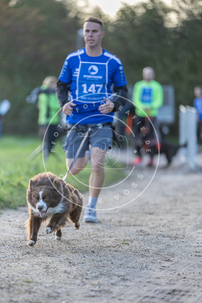 Pfotenfotografie.de_DV3A2773 | Hundefotografie, Tierfotograf, Pfotenfotografie, Fotoshooting Hund, Hunde Portrait, Hundesport, Hundeportraits, Heideshooting, Hunde, Sportfotograf, Hundefotograf, Turnierhundsport, THS, canicross - Realisiert mit Pictrs.com