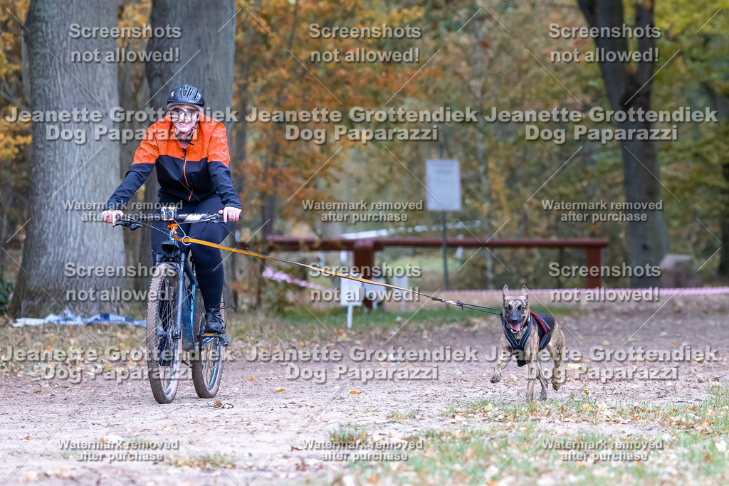 Dog Paparazzi - SD CaniX Championship 2025-595 | Dog Paparazzi Jeanette Grottendiek Fotografie & Videografie - Realisiert mit Pictrs.com