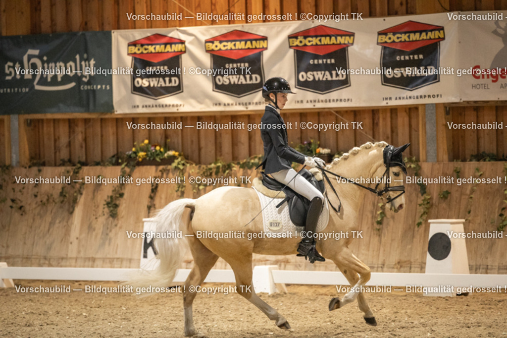 _D5A0178 | Emotionale Pferde- & People-Fotografie rund um Heidelberg, Leimen & Umgebung. Natürliche Fotos von Pferd, Mensch & Familie. Jetzt Termin sichern!