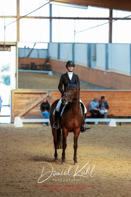 _62_7183 | Turniersportfotografie; Pferdefotografie; Dressurfotografie