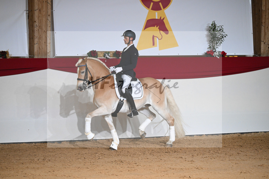 Amiro_1234331 | hf-fotografie - Realisiert mit Pictrs.com