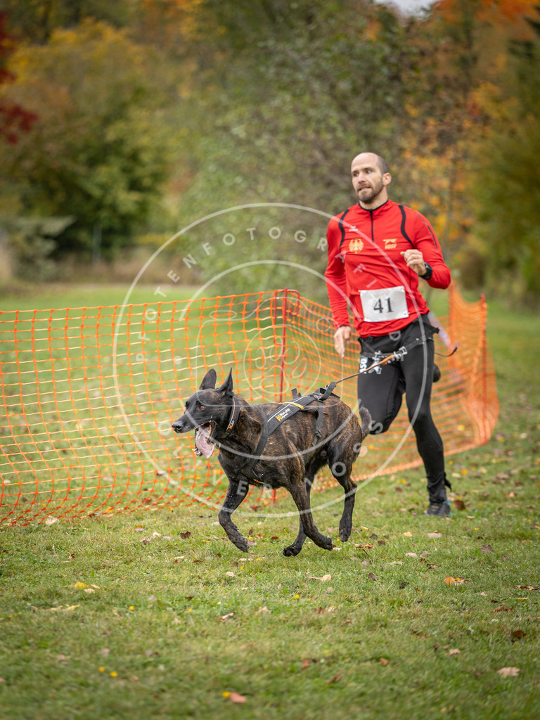 Pfotenfotografie_DV3A2306 | Hundefotografie, Tierfotograf, Pfotenfotografie, Fotoshooting Hund, Hunde Portrait, Hundesport, Hundeportraits, Heideshooting, Hunde, Sportfotograf, Hundefotograf, Turnierhundsport, THS,  - Realisiert mit Pictrs.com