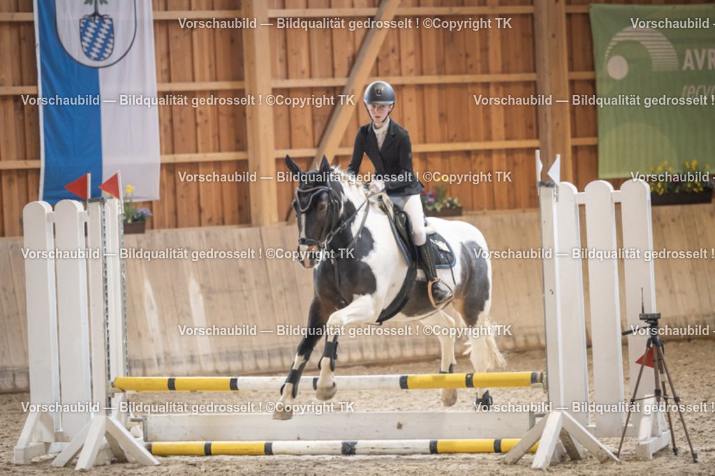 _D5A0029 | Emotionale Pferde- & People-Fotografie rund um Heidelberg, Leimen & Umgebung. Natürliche Fotos von Pferd, Mensch & Familie. Jetzt Termin sichern!