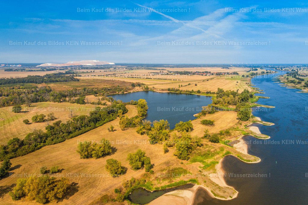 Elbauenlandschaft_bei_Heinrichsberg_Braunschweiger_Loch_Elbe-2617 | Elbauenlandschaft_bei_Heinrichsberg_Braunschweiger_Loch_Elb - Realisiert mit Pictrs.com