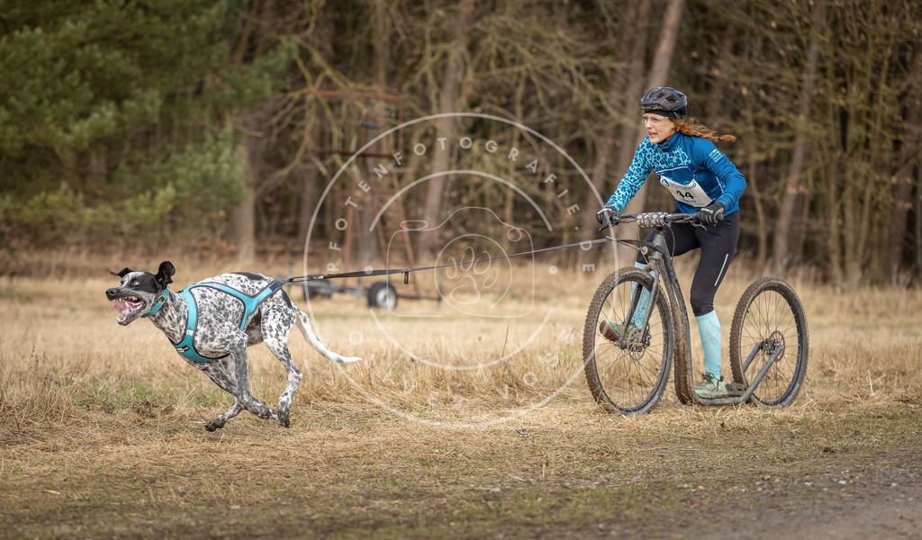 DV3A4656 | Hundefotografie, Tierfotograf, Pfotenfotografie, Fotoshooting Hund, Hunde Portrait, Hundesport, Hundeportraits, Heideshooting, Hunde, Sportfotograf, Hundefotograf, Turnierhundsport, THS,  - Realisiert mit Pictrs.com