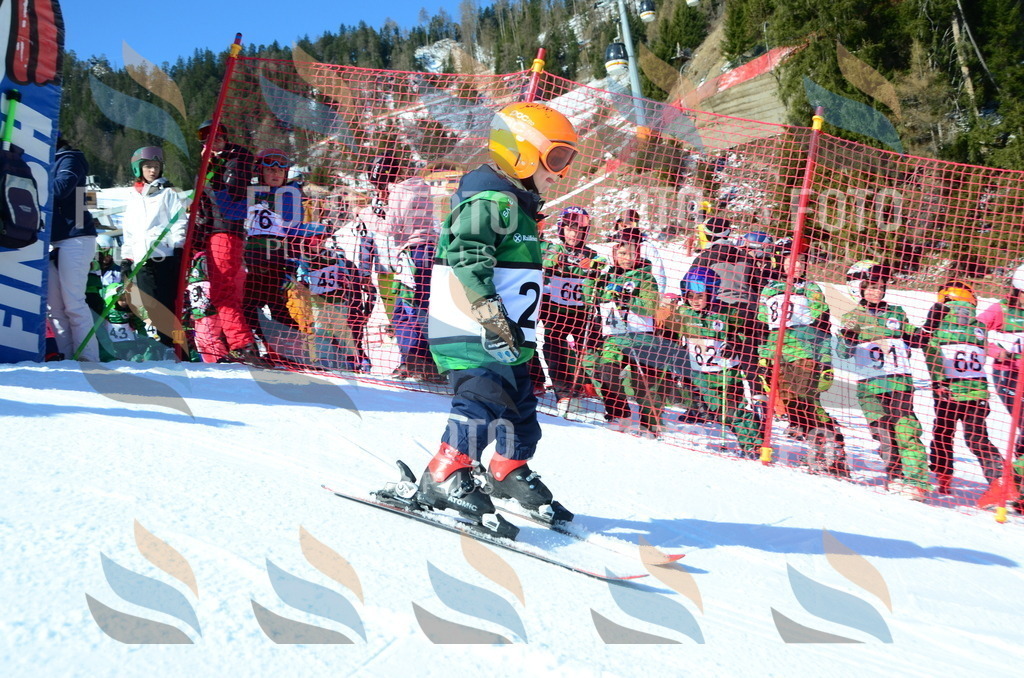 C4864 | holidayphoto