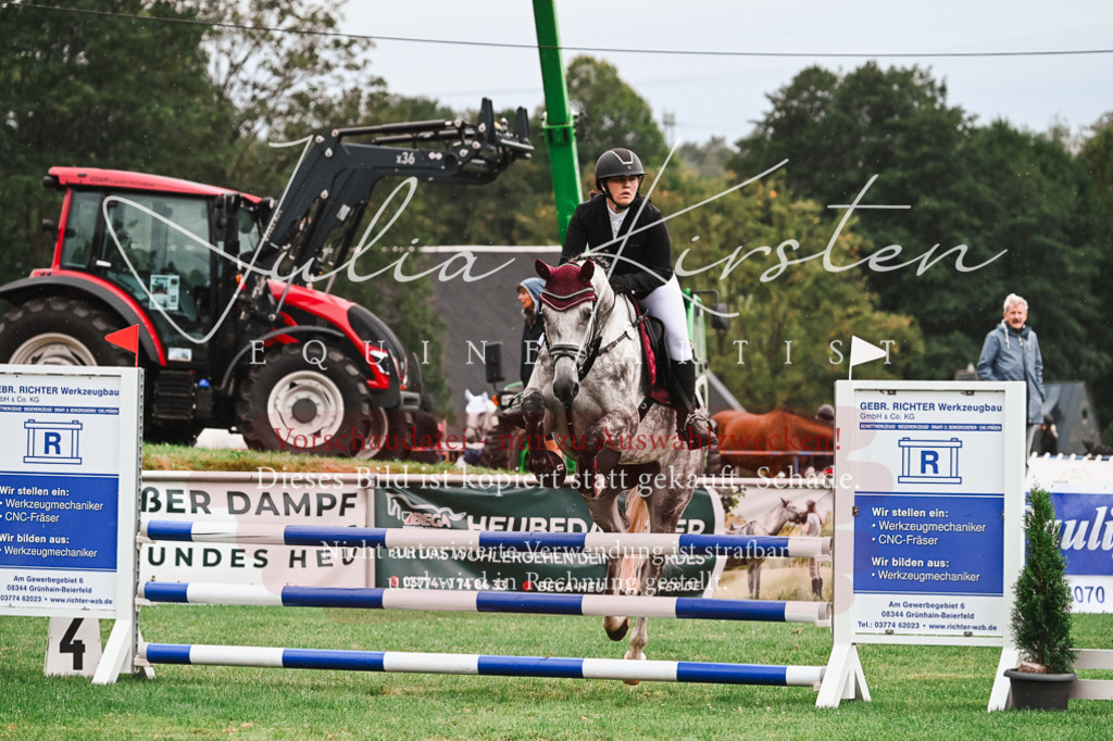 DSC_6355 | Pferde- und Turnierfotografie in Westsachsen. Pferdeportraits, Auftragszeichnungen und intuitive Kunst.