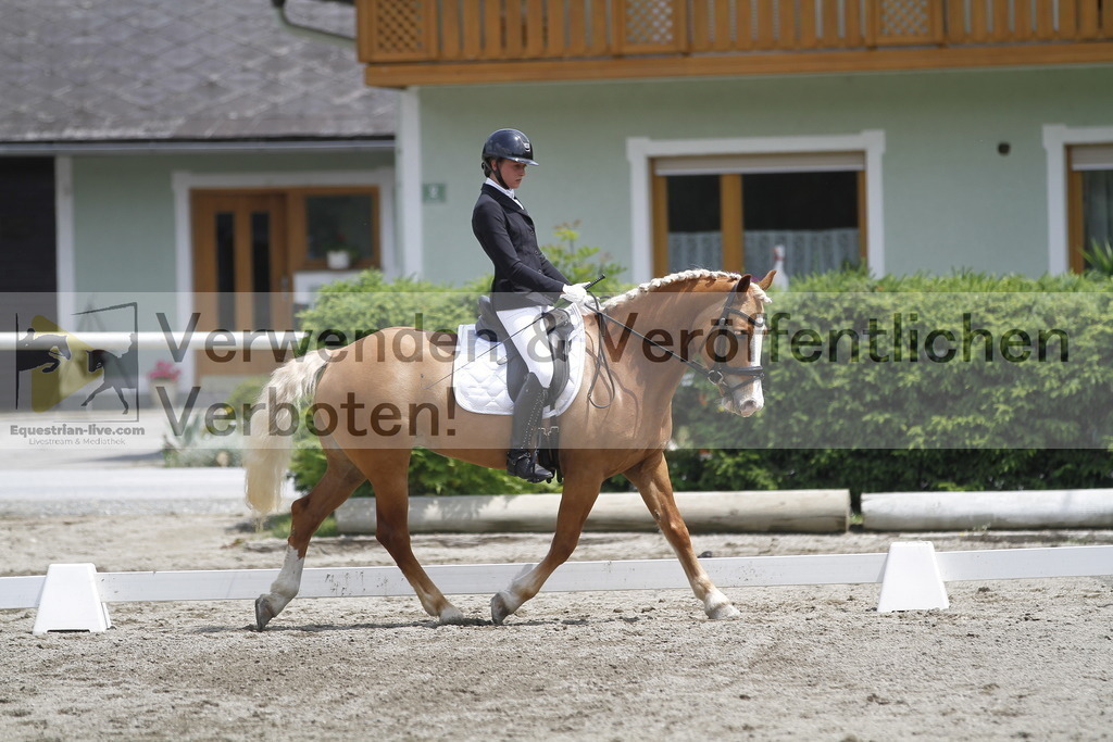 _MG_0448 | equestrian-live-com