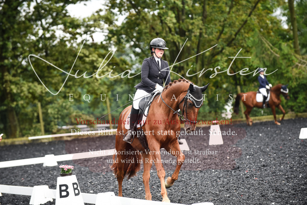 DSC_2892 | Pferde- und Turnierfotografie in Westsachsen. Pferdeportraits, Auftragszeichnungen und intuitive Kunst.