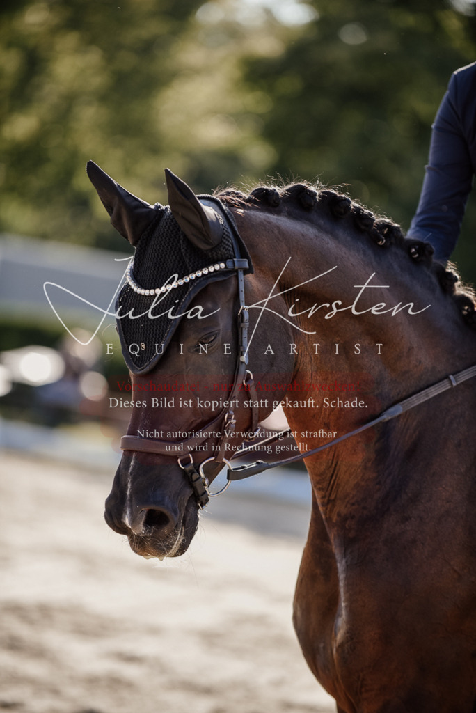 DSC_0587 | Pferde- und Turnierfotografie in Westsachsen. Pferdeportraits, Auftragszeichnungen und intuitive Kunst.