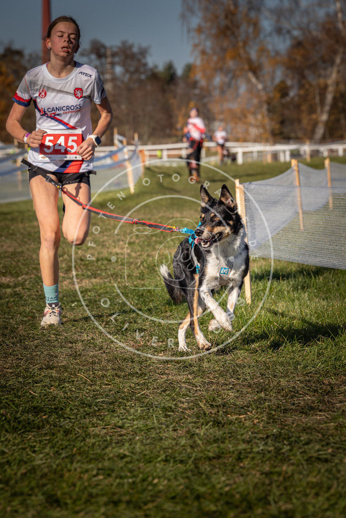CaniXpix_0L8A7670 | Hundefotografie, Tierfotograf, Pfotenfotografie, Fotoshooting Hund, Hunde Portrait, Hundesport, Hundeportraits, Heideshooting, Hunde, Sportfotograf, Hundefotograf, Turnierhundsport, THS,  - Realisiert mit Pictrs.com