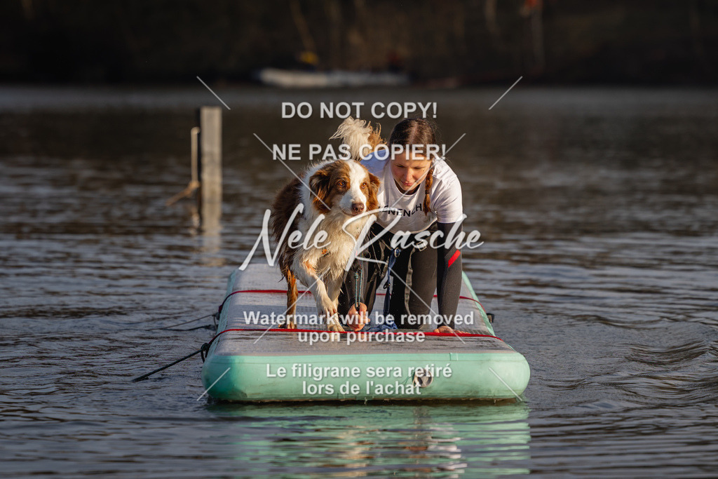 nelerasche_Hulsbeek_Sa1700-1730_152 | nelerasche