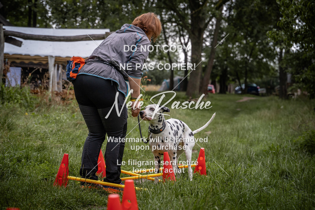 nelerasche_SoEarlyDog_30 | nelerasche