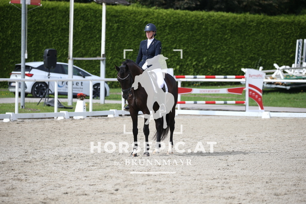 DL2Q2803 | Willkommen bei Brunnmayr - Design & Fotografie – Ihrem Spezialisten für Reitturniere und Pferdeveranstaltungen in Oberösterreich, Salzburg und Bayern! Seit über 17 Jahren sind wir leidenschaftlich dabei.