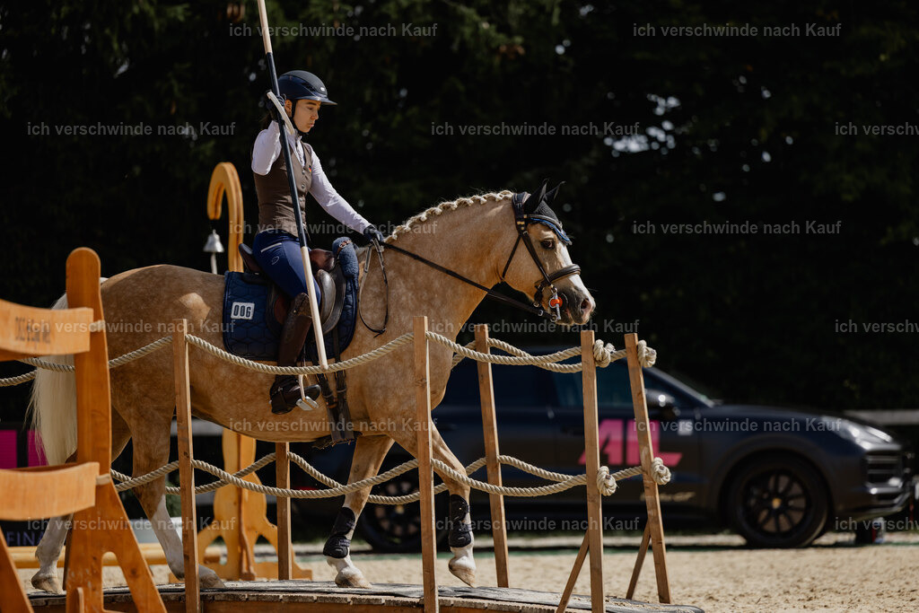 Nici11_FHC2025-20529 | working equitationturnier fotograf videograf stoibphotography marixx film working equitation deutschland reitsport turnierfotografie eventfotografie equestrian events