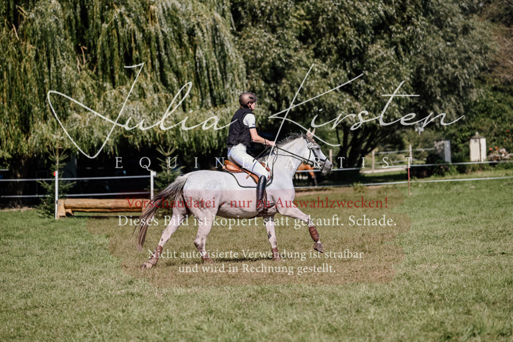 DSC_2861 | Pferde- und Turnierfotografie in Westsachsen. Pferdeportraits, Auftragszeichnungen und intuitive Kunst.