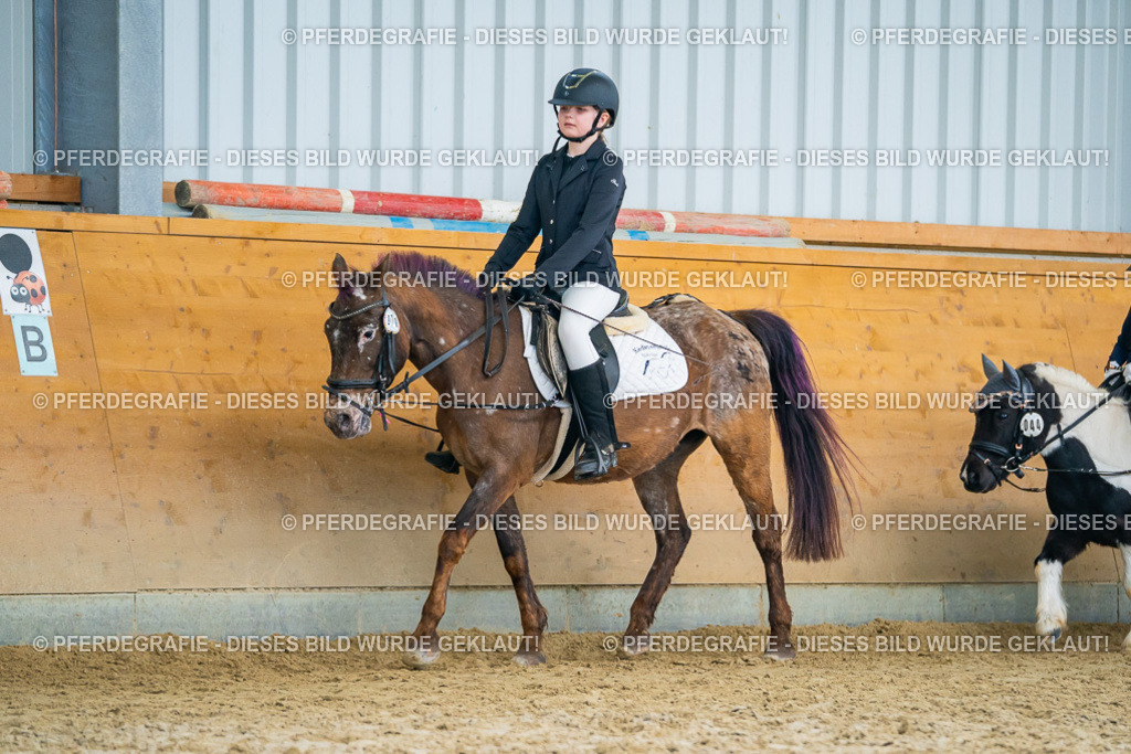 DSC01276 | Pferdegrafie