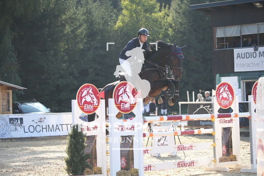 DL2Q5509 | Willkommen bei Brunnmayr - Design & Fotografie – Ihrem Spezialisten für Reitturniere und Pferdeveranstaltungen in Oberösterreich, Salzburg und Bayern! Seit über 17 Jahren sind wir leidenschaftlich dabei.