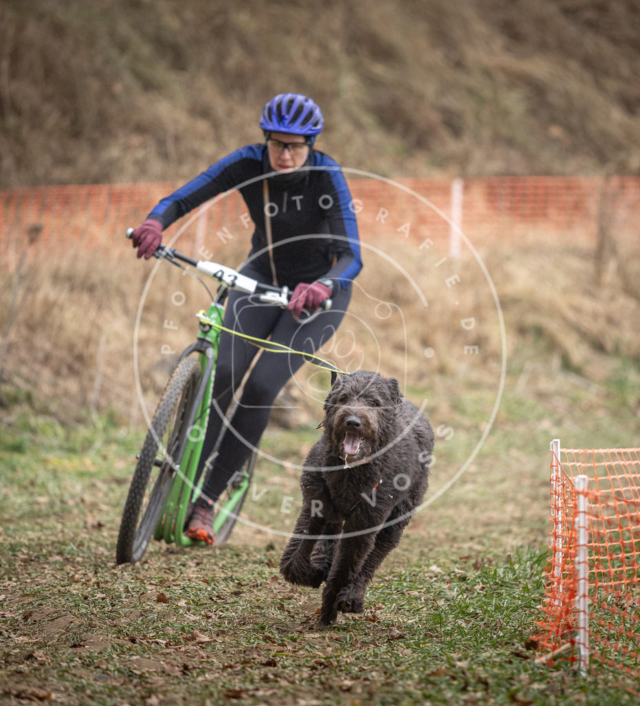 Pfotenfotografie_DV3A6579 | Hundefotografie, Tierfotograf, Pfotenfotografie, Fotoshooting Hund, Hunde Portrait, Hundesport, Hundeportraits, Heideshooting, Hunde, Sportfotograf, Hundefotograf, Turnierhundsport, THS,  - Realisiert mit Pictrs.com
