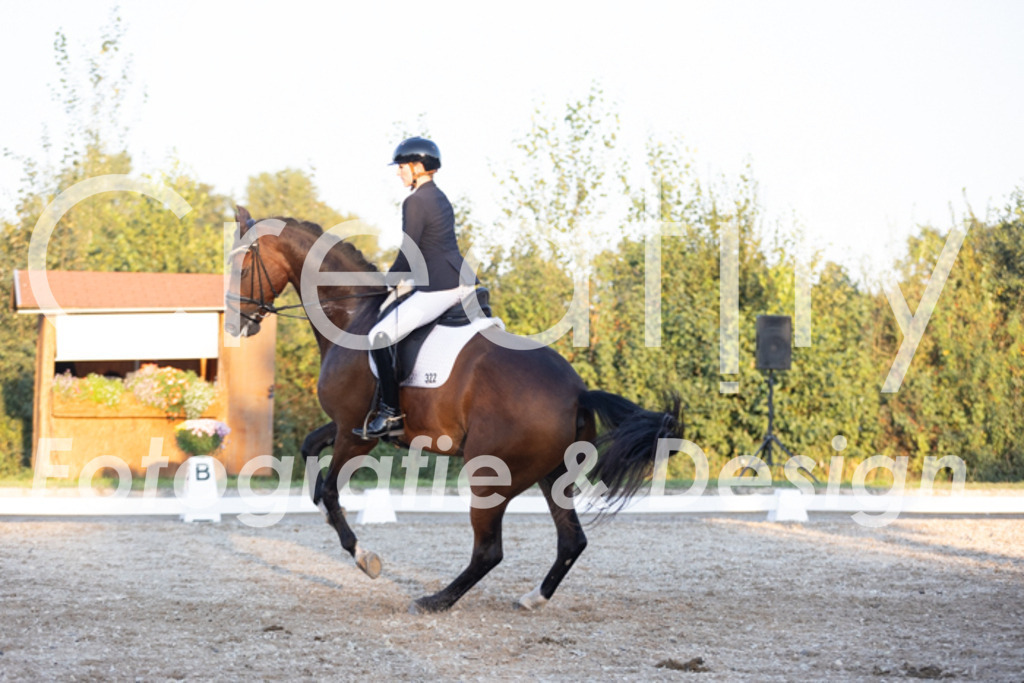 IMG_1785 | Creatify Fotografie