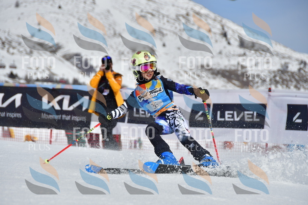 _DSC6850 | holidayphoto