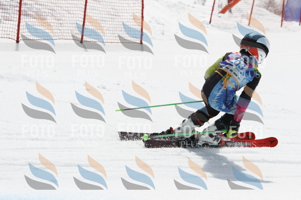 _U3G2109 | holidayphoto