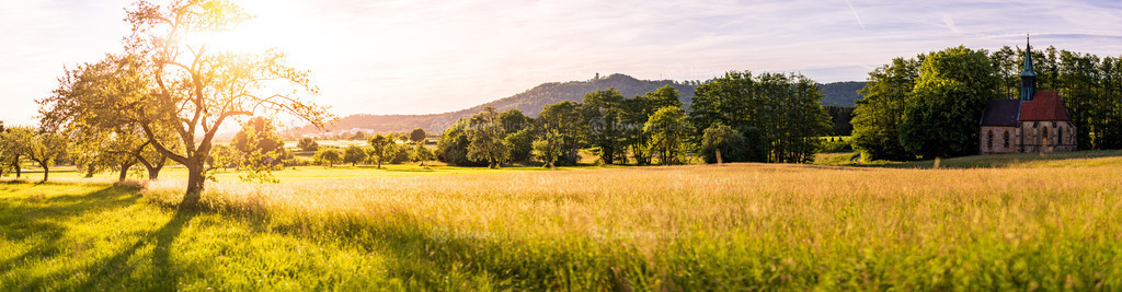 Wiesen hinter Donzdorf bei Sonnenuntergang | löwenblicke | shop