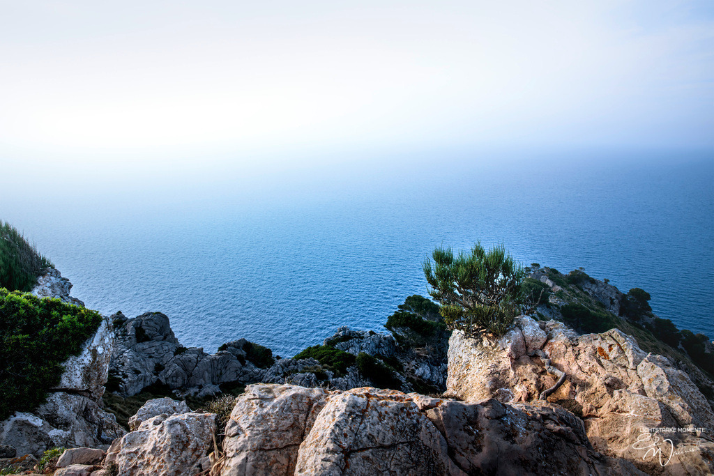 Botanicactus, Ses Salines | Herzlich willkommen auf meiner Seite! Ich bin Elke Wallnisch, Deine Fotografin für lichtstarke Momente. Der Name steht für alles, was mich mit der Fotografie verbindet: Das Licht und seine machtvolle Wirkung auf eine Situation oder unsere Stimmung - Realisiert mit Pictrs.com