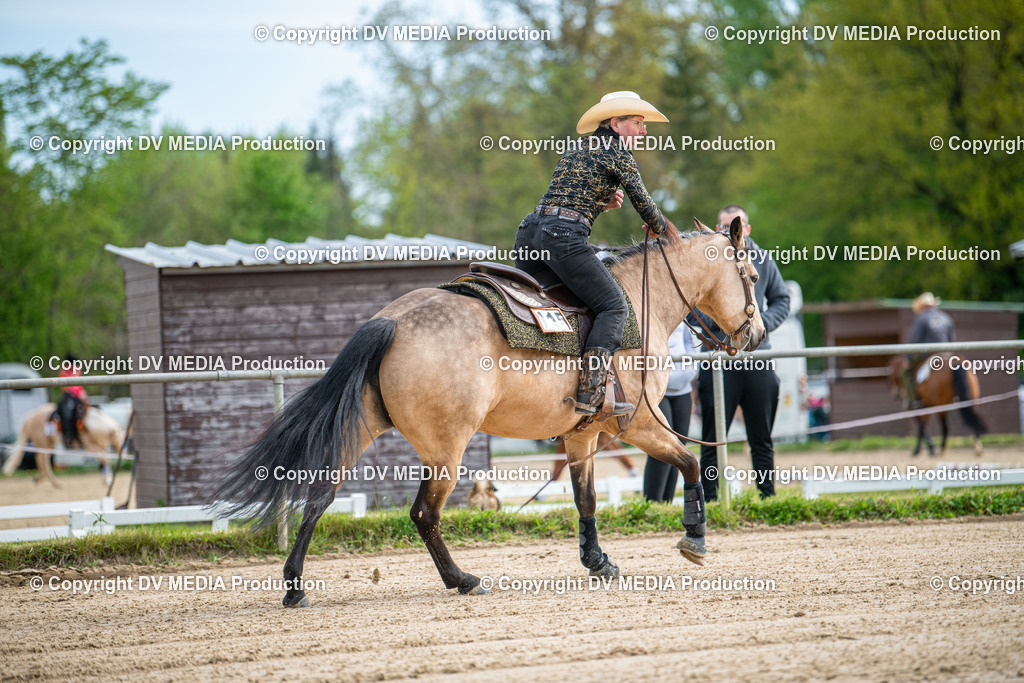 Heiligenwald Tag 3-529 | dv-media-shop - Realisiert mit Pictrs.com