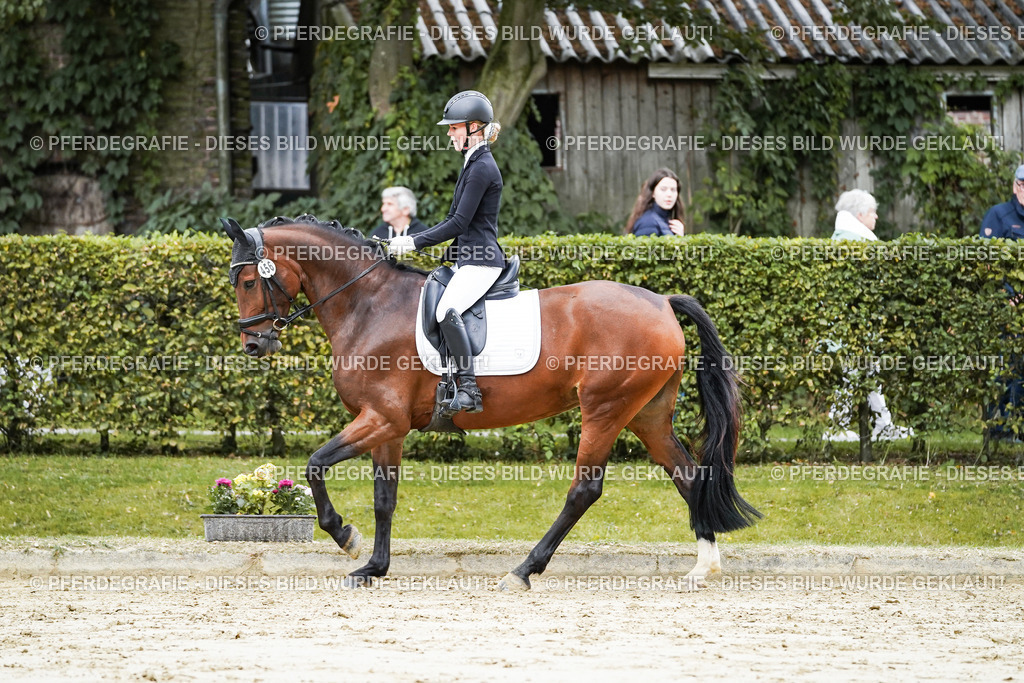 DSC06346 | Pferdegrafie