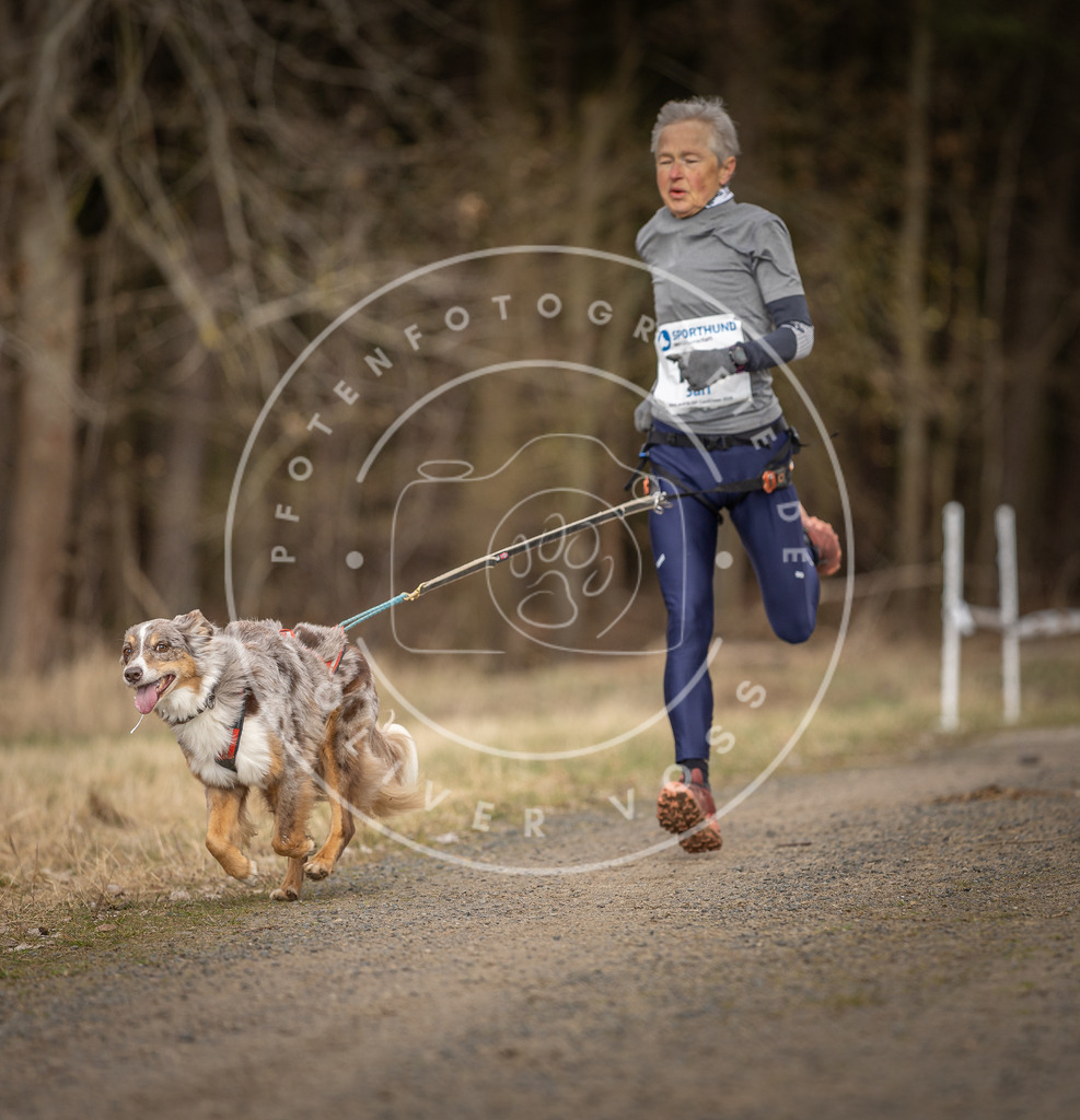 DV3A5386 | Hundefotografie, Tierfotograf, Pfotenfotografie, Fotoshooting Hund, Hunde Portrait, Hundesport, Hundeportraits, Heideshooting, Hunde, Sportfotograf, Hundefotograf, Turnierhundsport, THS,  - Realisiert mit Pictrs.com