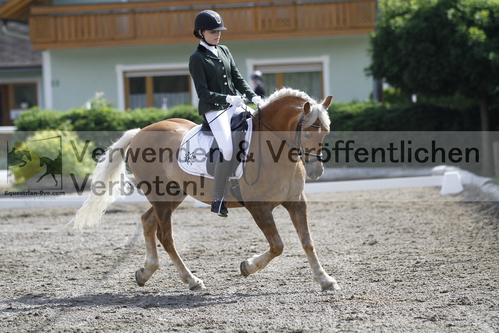 _MG_9560 | equestrian-live-com